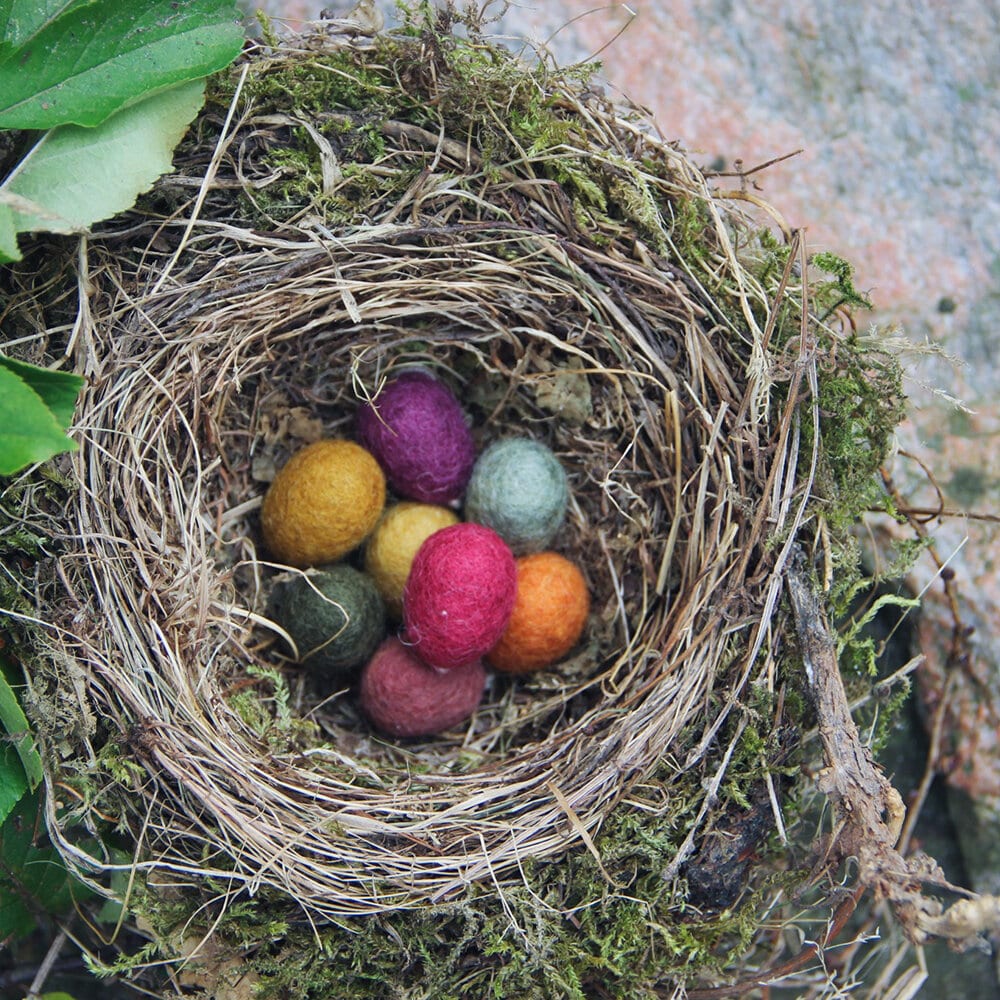 Eggs Colorful Set of 3