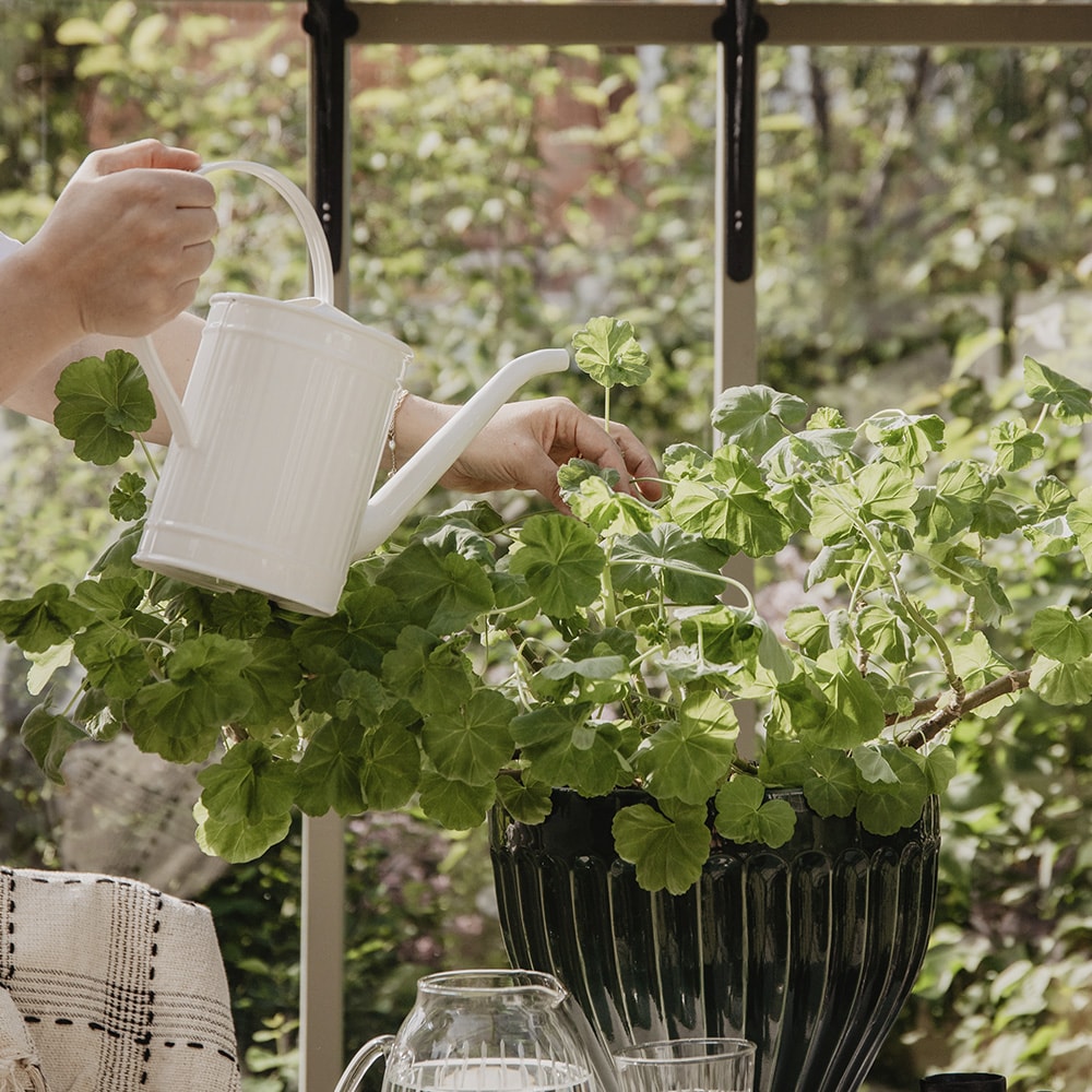 Watering Can Hugo White