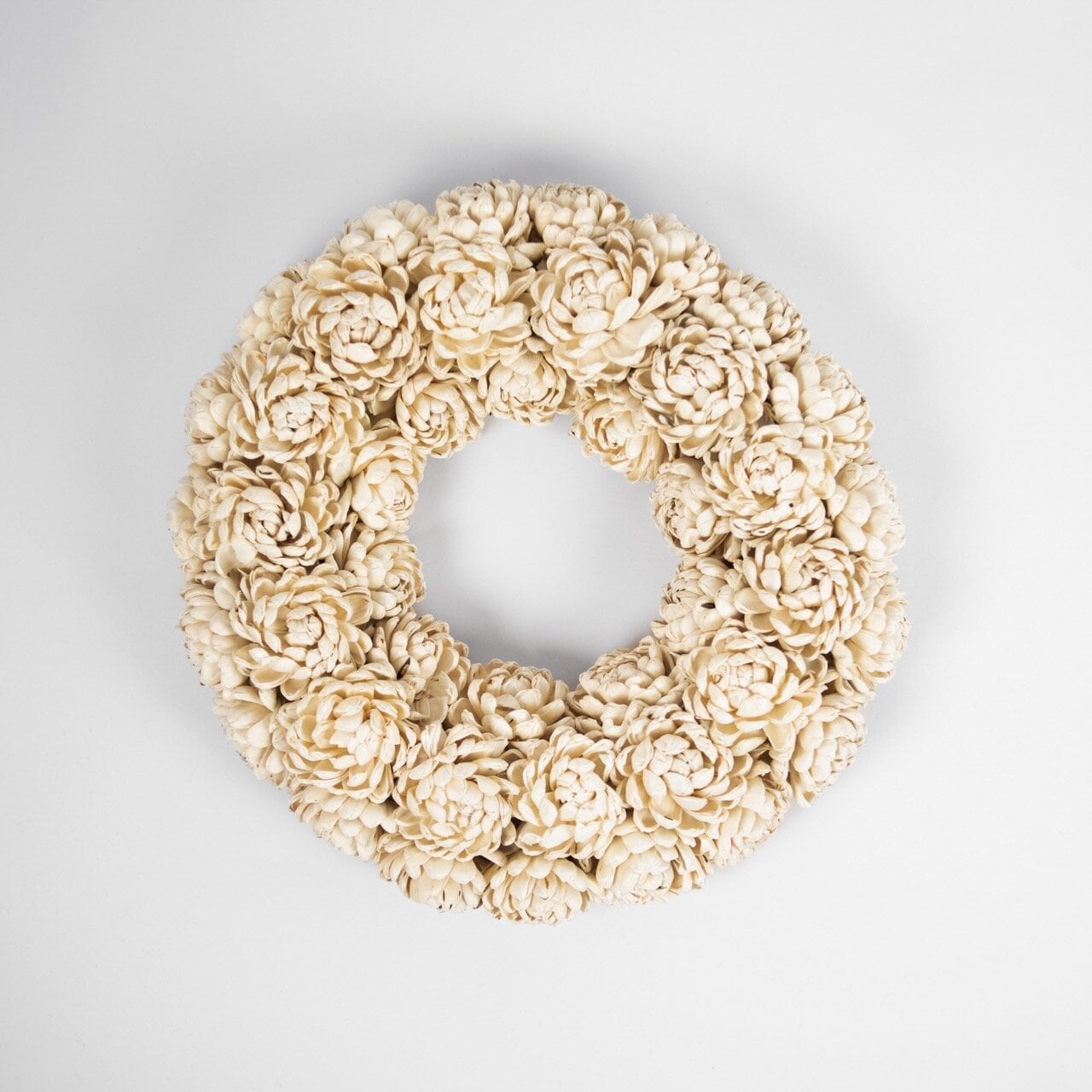 Wreath Chrysanthemum